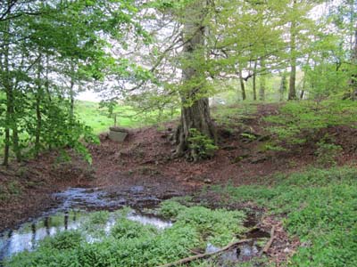 Spring of the river Telhuet -  Seconde-Guerre-Mondiale.com