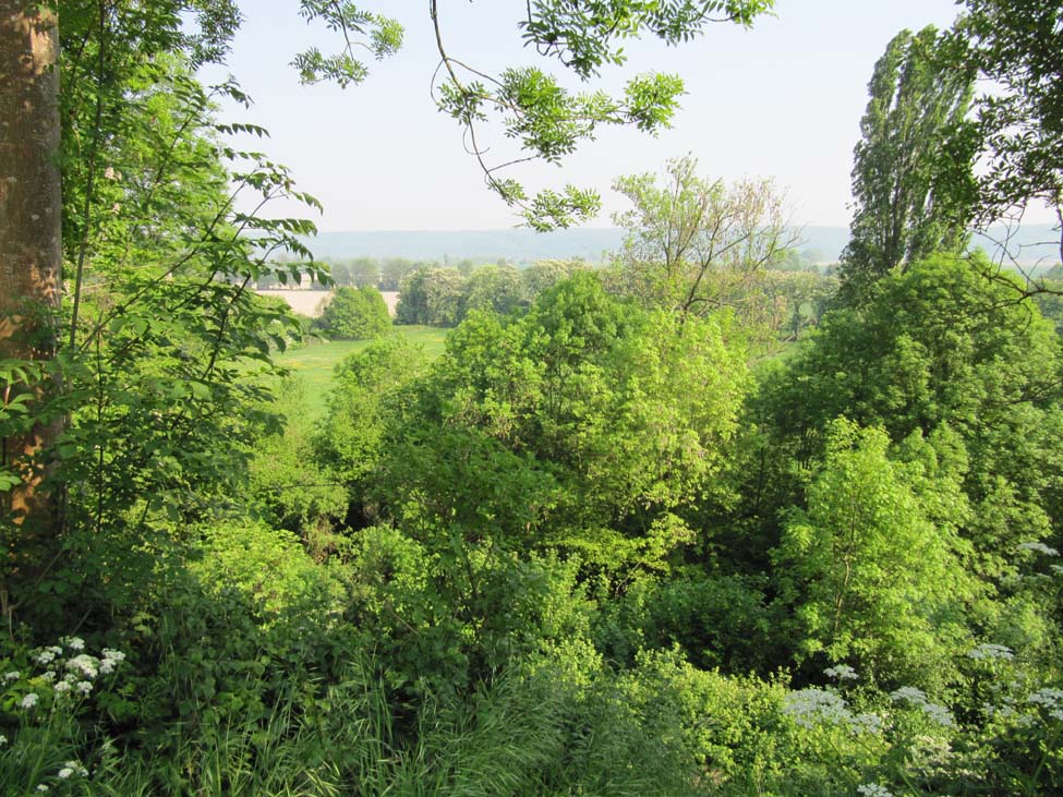 Marais entre Norville et St Maurice d'Etelan -  Seconde-Guerre-Mondiale.com